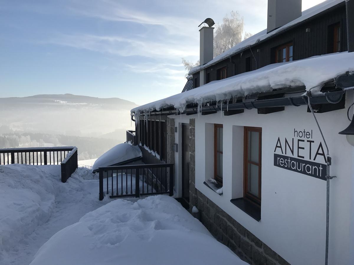 Aneta Hotel & Restaurant Vítkovice 外观 照片