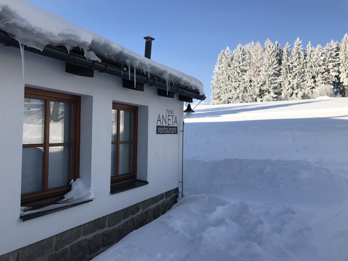 Aneta Hotel & Restaurant Vítkovice 外观 照片